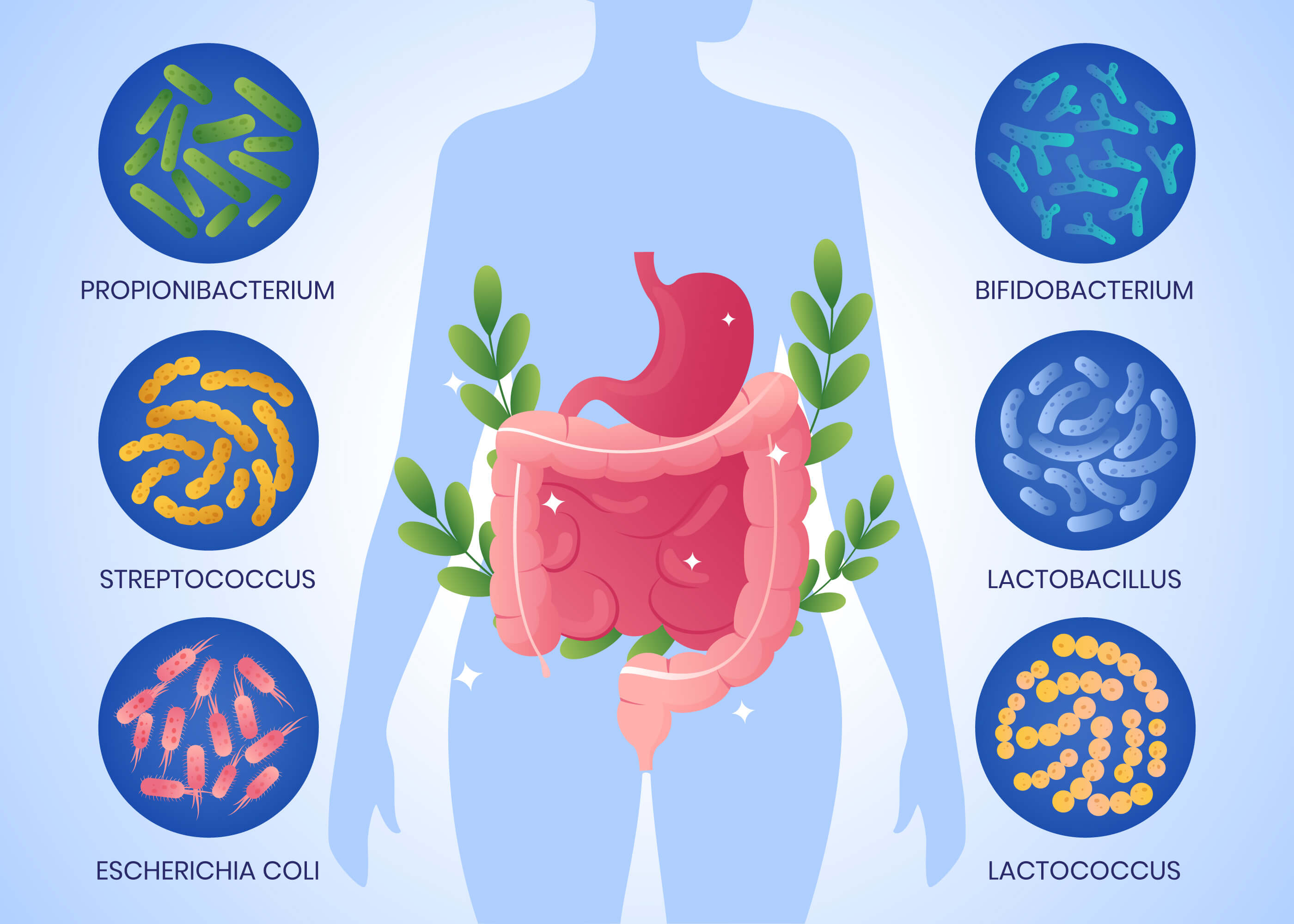 Gut Health